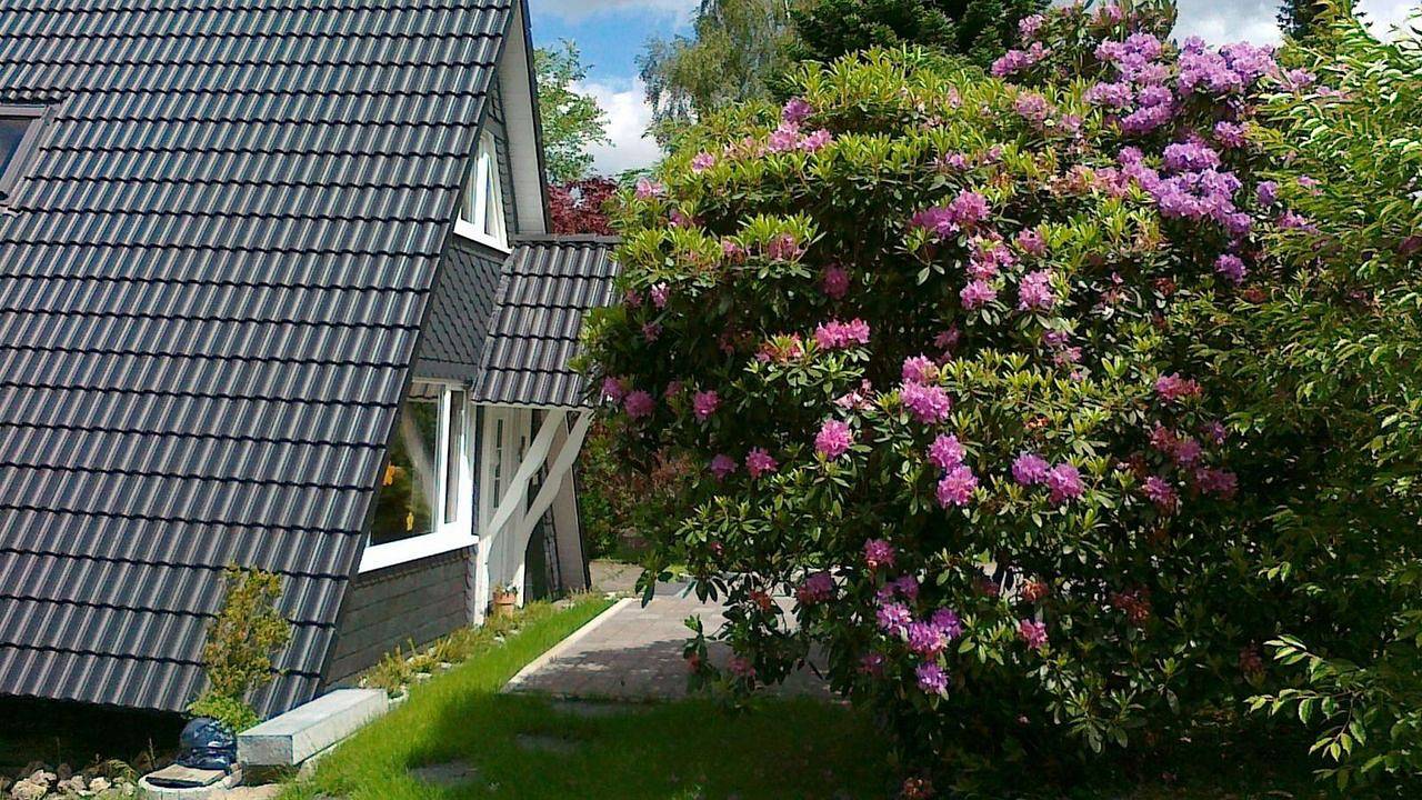 Ferienhaus für 5 Personen (72 m²) in Kirchhundem in Kirchhundem, Sauerland