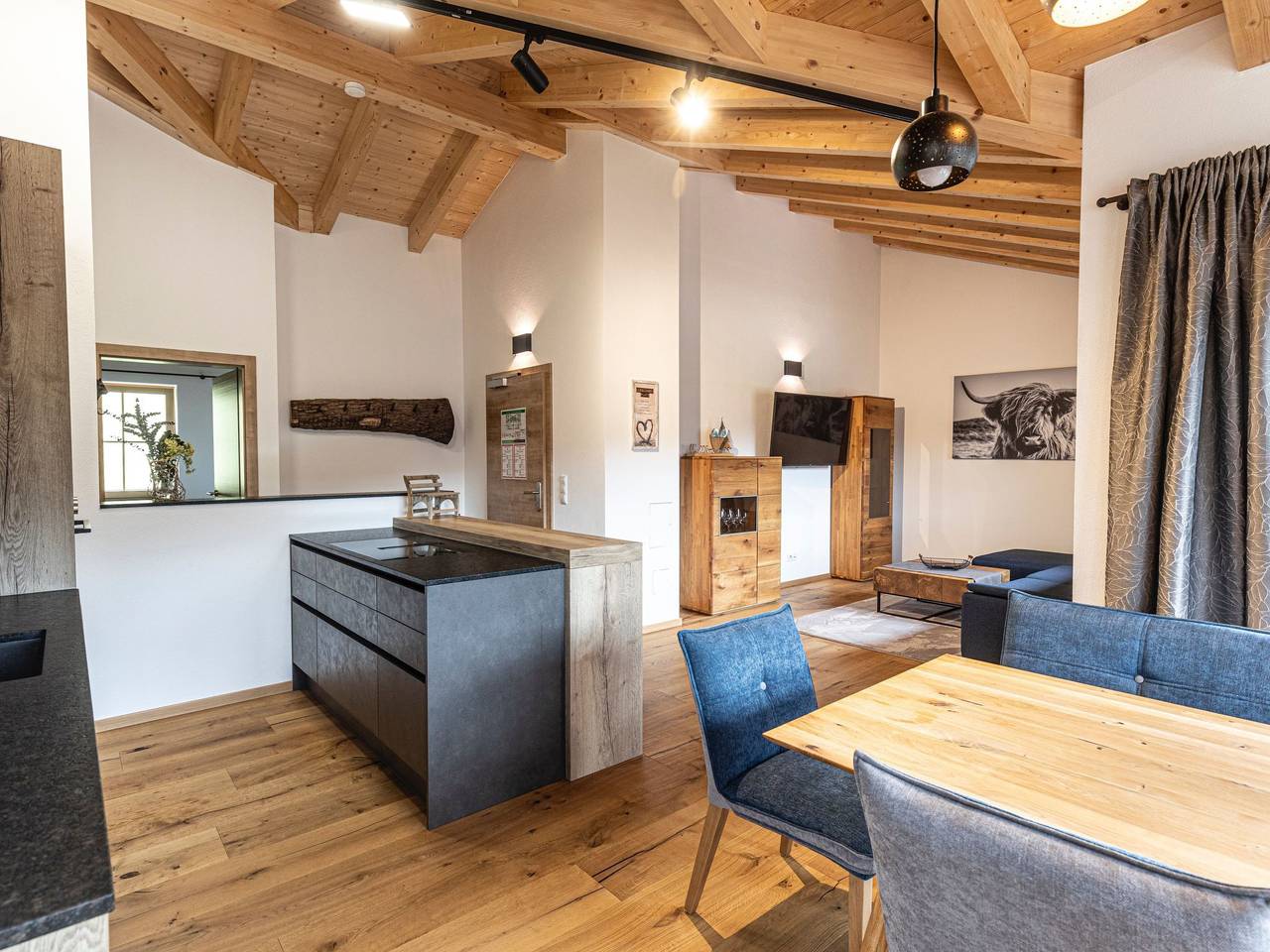 Ganze Wohnung, Dachstein Chalet Haus a in Salzkammergut-Berge, Rußbach am Paß Gschütt