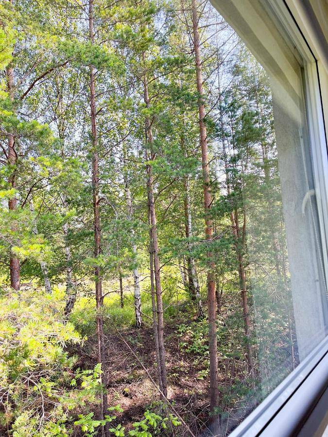 Maison d’hôte pour 6 personnes à Tallinn - 3