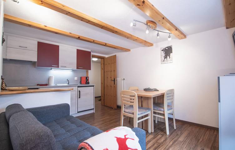 Ganze Ferienwohnung, Nr. 4 Allalin in Saas-Fee, Walliser Alpen