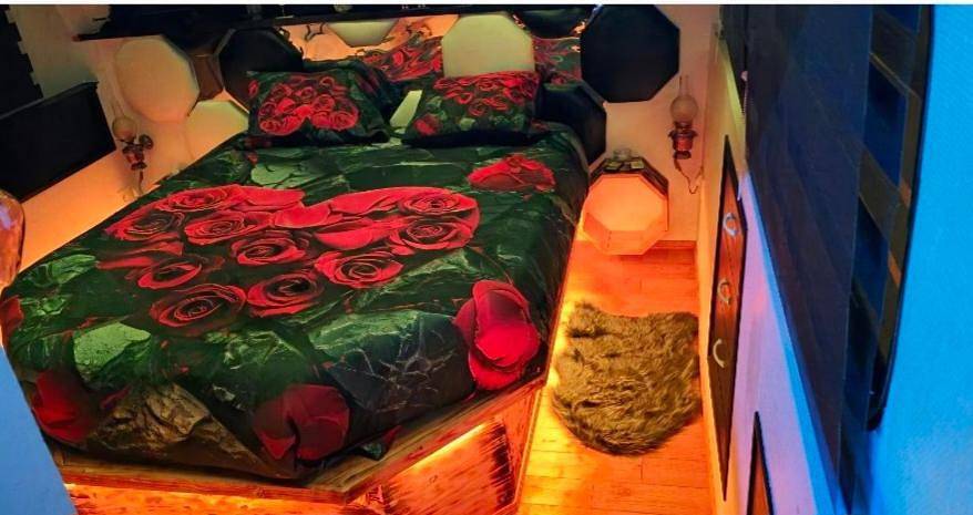 Bateau pour 2 personnes, avec vue ainsi que terrasse et vue sur le lac, animaux acceptés dans Hauts-de-France - 4