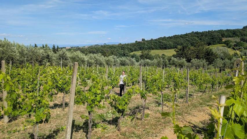 Location de vacances pour 4 personnes, avec jardin et vue, animaux acceptés à Lastra a Signa - 2