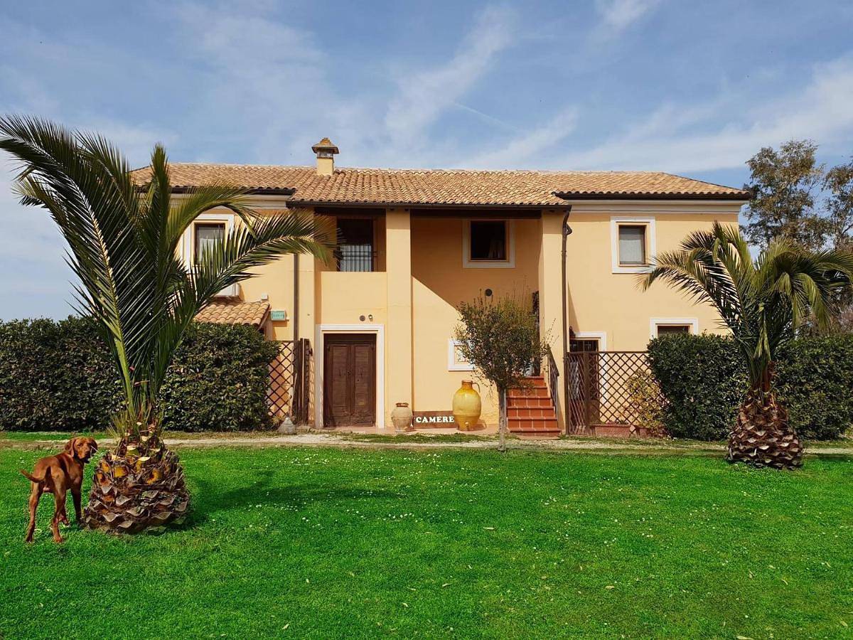 Leoncito del Conero in Numana, Riviera del Conero