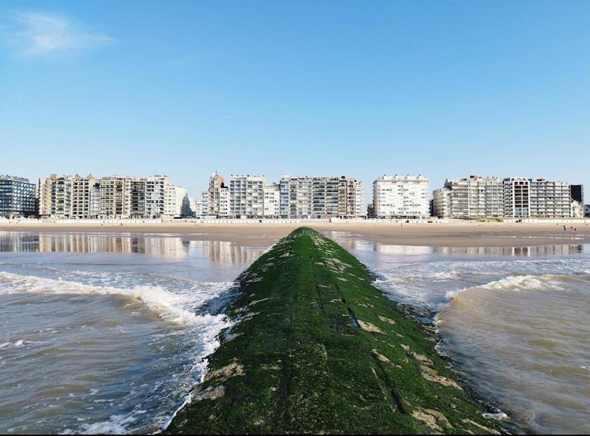 Appartement entier, West-end Beach in Westende, Middelkerke