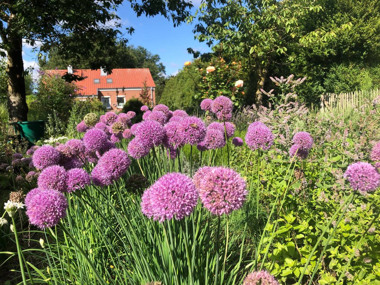 Ferienwohnung Kräutergarten - Ferienwohnung, 1-2 Pers., 53 qm in Greven, Münsterland
