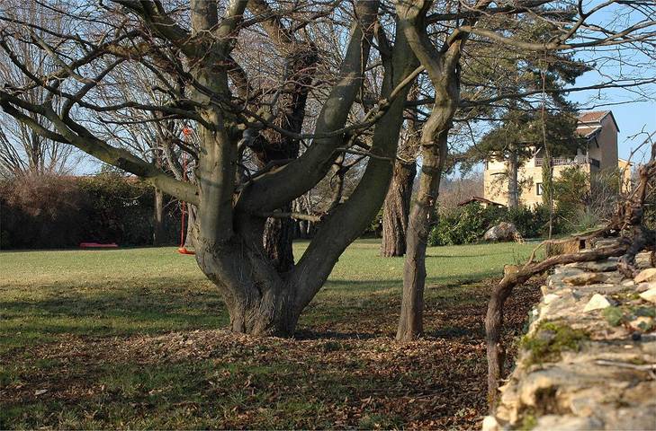 Chambre d’hôte pour 4 personnes, avec jardin