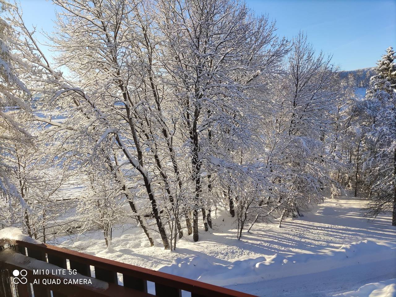 Ganze Ferienwohnung, Kurhotel Schluchsee App. 2313 - Genießer-Apartment mit Südbalkon - mit Indoorpool Schluchsee in Schluchsee, Südschwarzwald