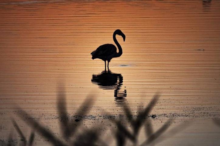 Bateau pour 2 personnes, avec piscine et balcon dans Occitanie - 4