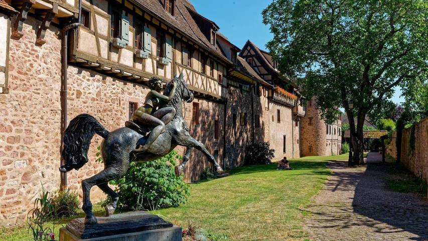 Gîte pour 2 personnes, avec Vue à Riquewihr - 3