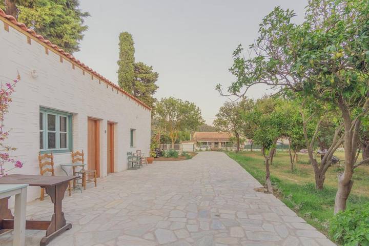 Maison d’hôte pour 6 personnes, avec balcon ainsi que vue et jardin dans Skiathos - 4