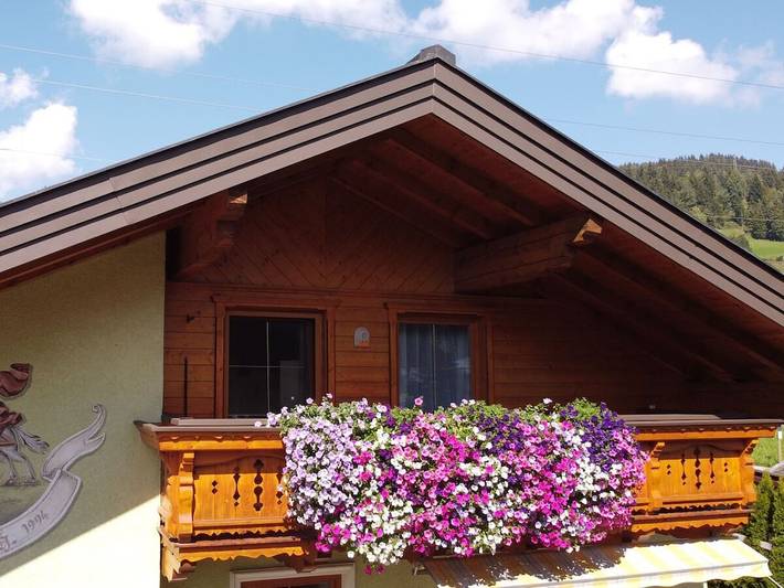 Chalet für 6 Personen, mit Balkon und Garten in Wagrain