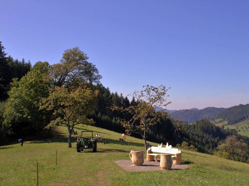 Ferme pour 4 personnes avec balcon/terrasse in Zell am Harmersbach, Forêt-Noire centrale