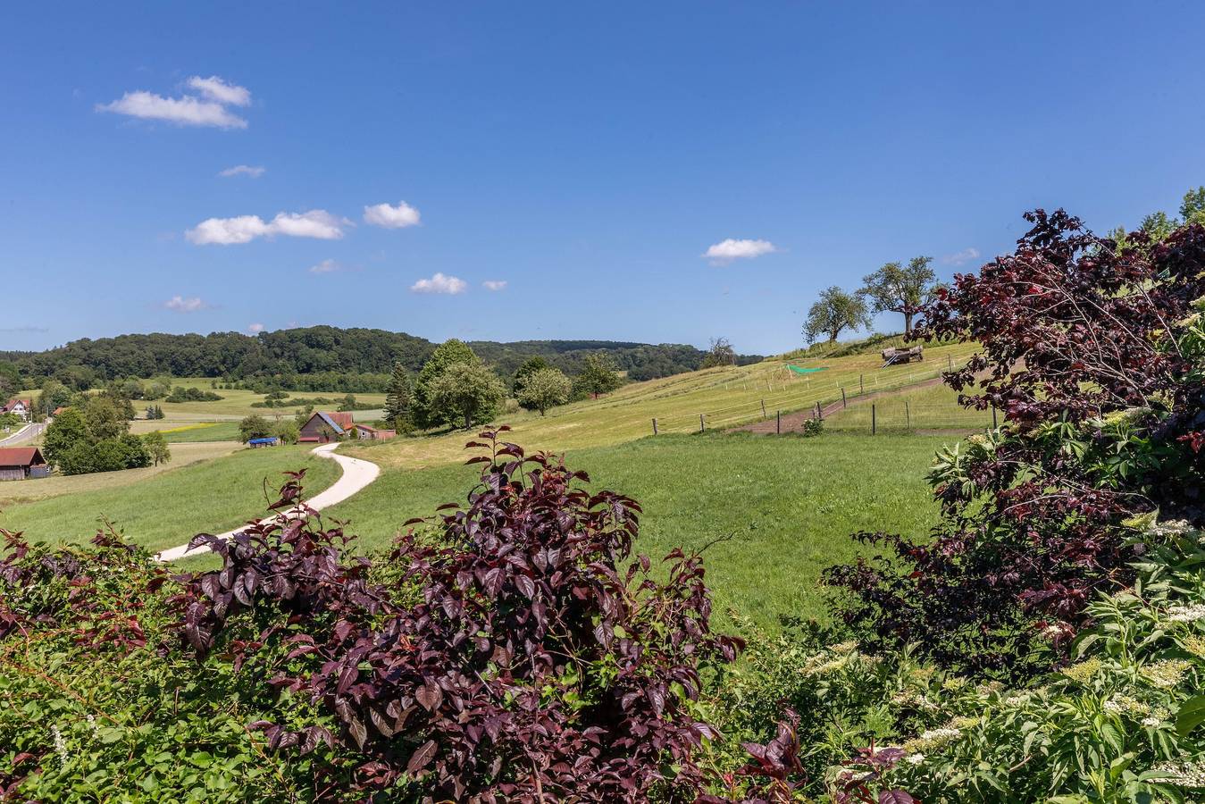 Ganze Wohnung, Ferienwohnung „Little Cowhorse Ranch" – Natur, Pferde & Ruhe pur in Münsingen, Neckar-Alb
