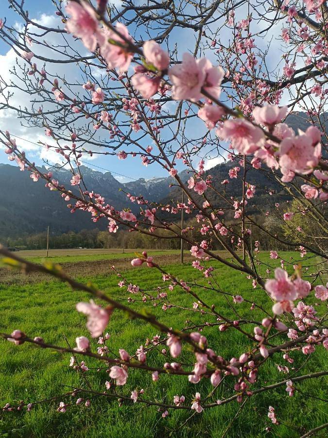 Location de vacances pour 8 personnes, avec vue et jardin à Feltre - 2