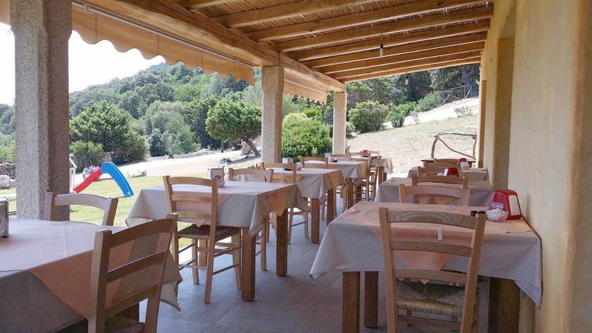 Chambre d’hôte pour 2 personnes, avec jardin et vue, animaux acceptés à San Teodoro - 4