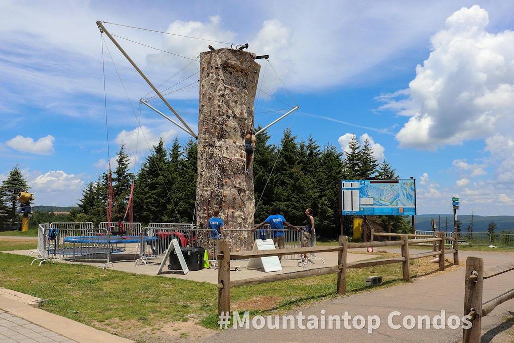 Ganze Wohnung, 1Br / 1Ba Wi-Fi-Blick auf die Berge - Neben den Pisten und dem Dorf - Nice in Snowshoe, Greenbrier River