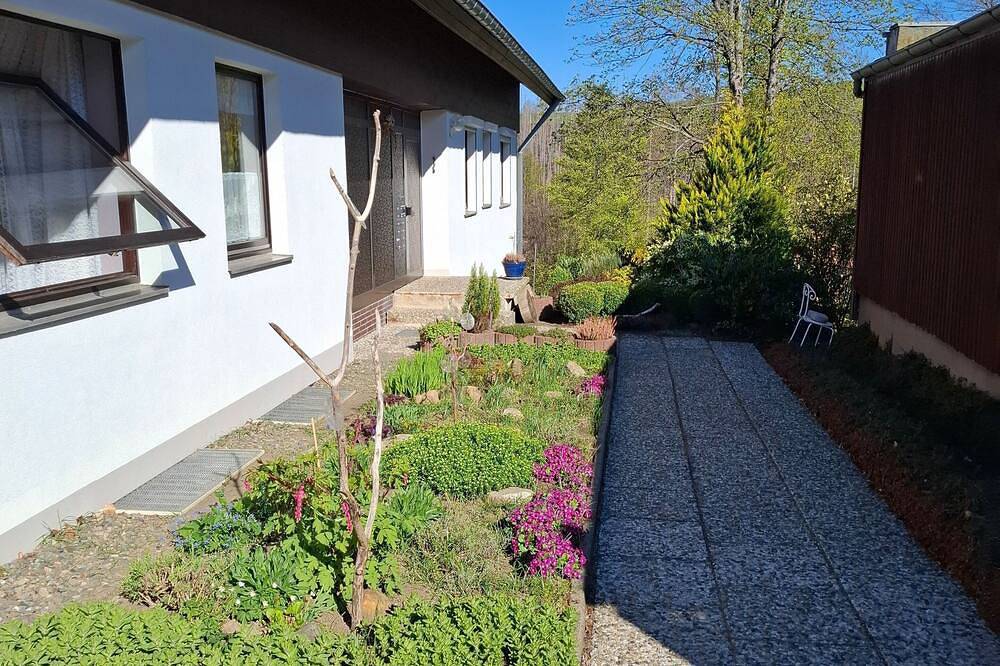 Ganze Wohnung, Fewo Harzer Bergwind, 1 kleiner Hund willkommen, große einge - Ferienwohnung in Sankt Andreasberg, Braunlage