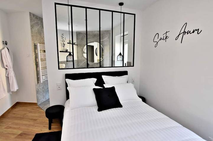 Apartamento entero, Arum Suite with terrace in Roanne, Región de Roanne