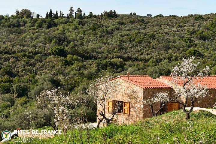 Gîte für 2 Personen, mit Terrasse und Garten auf Korsika - 3