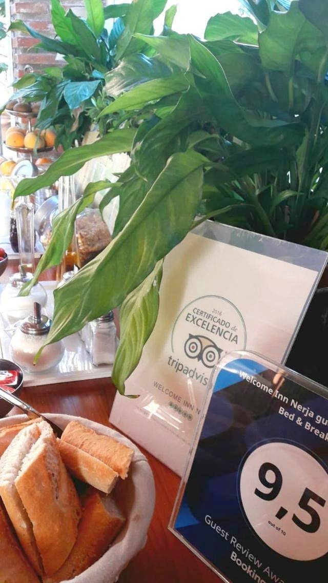 Maison d’hôte pour 2 personnes, avec piscine et jardin à Nerja - 4