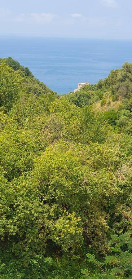 B&b per 4 persone, con panorama e terrazza in San Nicola Arcella