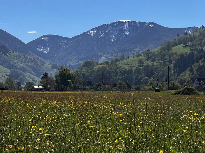 Gîte pour 2 personnes, avec balcon à Münstertal - 2