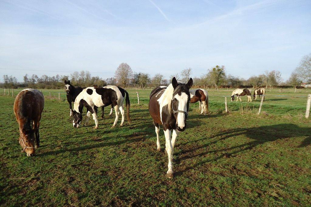 Gîte du Petit Paysan in Rives Dervoises, Alto Marne