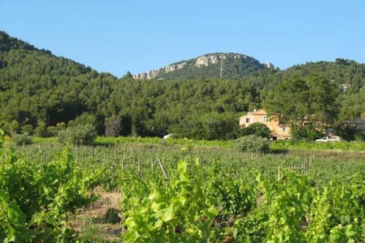 Gîte pour 20 personnes, avec jardin ainsi que balcon et piscine dans Dentelles de Montmirail - 2