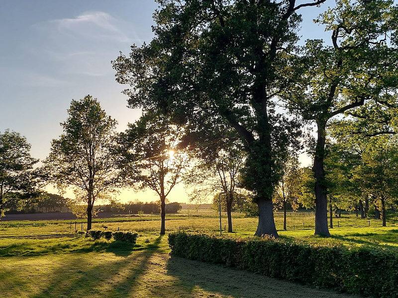 Groepsaccommodatie Havelte in Regio Zwolle