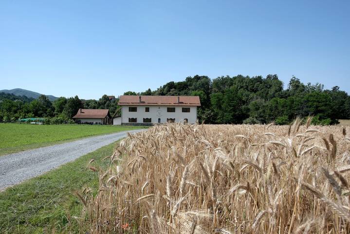 Vacation rental for 4 people, with yard in Liguria