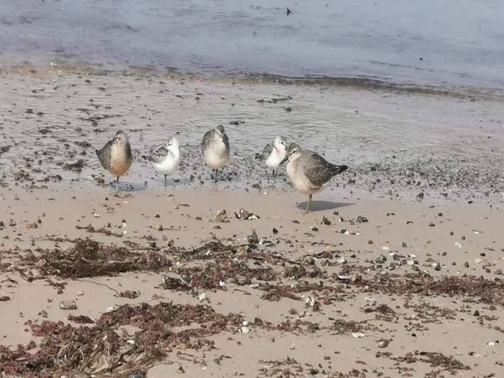 Ferienhaus für 4 Personen, mit Terrasse in lønstrup - 4