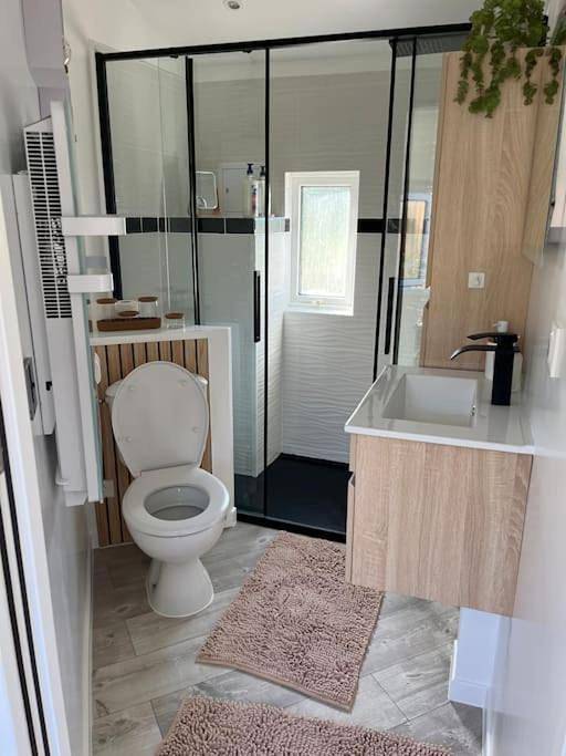 Gîte pour 4 personnes, avec jacuzzi et jardin à La Houssaye-en-Brie - 4