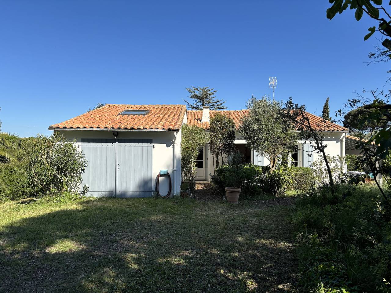 Les Immortelles in Sainte-Marie-de-Ré, Île de Ré