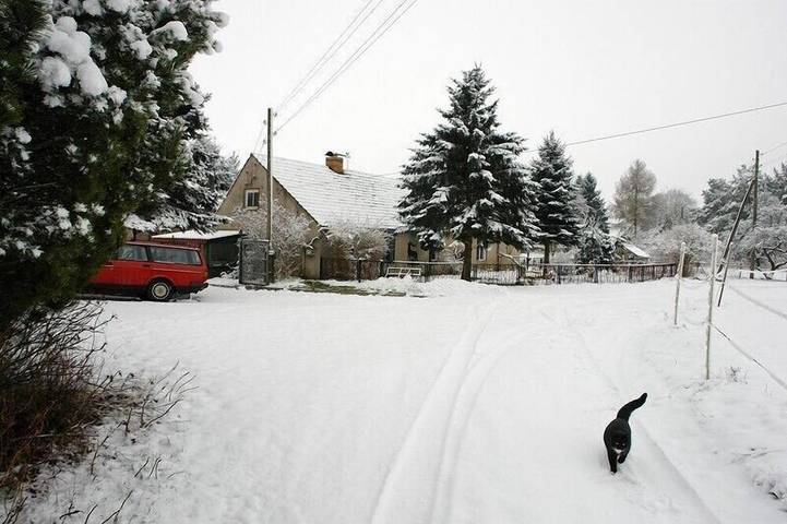 Ferienwohnung für 4 Personen, mit Garten in Boitzenburger Land - 3