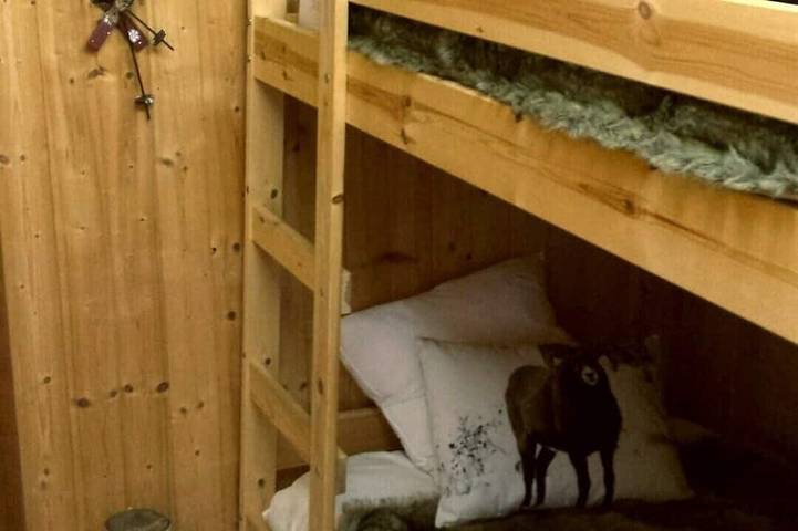 Les Mélèzes - Sehr schönes Chalet 200 m von den Pisten von La Plagne - 12-15 Pers. in La Plagne, Aime-la-Plagne