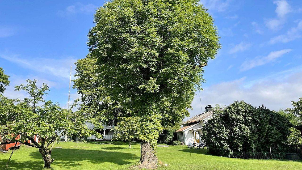 Ferienhaus für 4 Personen (70 m²) in Gransättra in Väddö