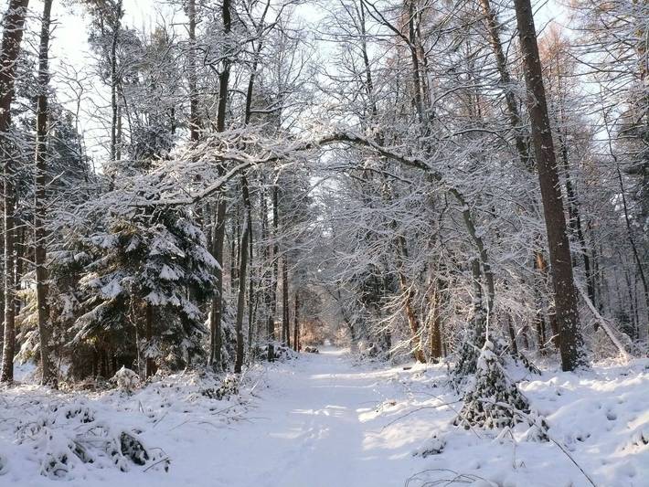 Ferienwohnung für 3 Personen in Altes Land Stade - 2