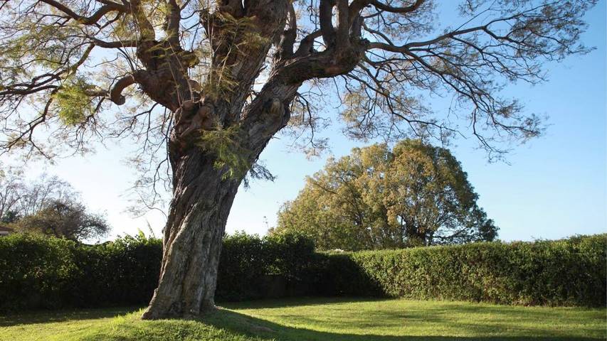 Maison d’hôte pour 2 personnes, avec jardin et vue à Funchal - 4