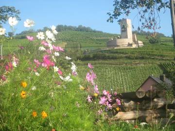 Gîte pour 2 personnes, avec vue et terrasse à Katzenthal