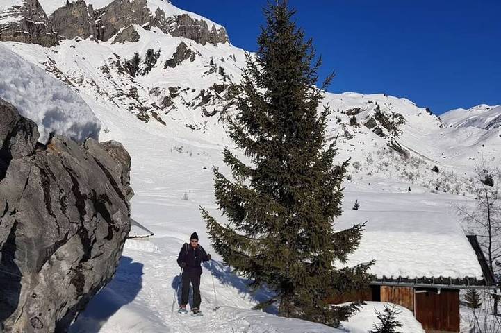 Appartement 3 personnes dans chalet au Plateau d'Assy in Plateau d'Assy, Passy