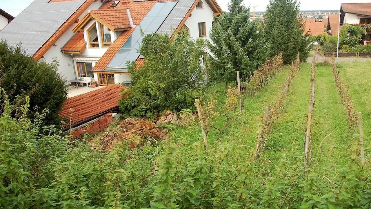 Ferienhaus für 2 Personen (25 m²) in Endingen am Kaiserstuhl in Endingen am Kaiserstuhl, Endingen