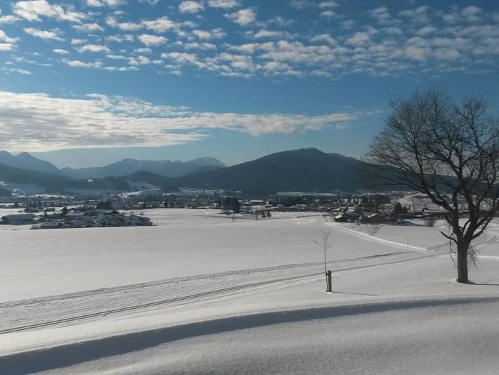 Einsiedlhof - Moosglöckchen in Inzell, Bayerische Alpen