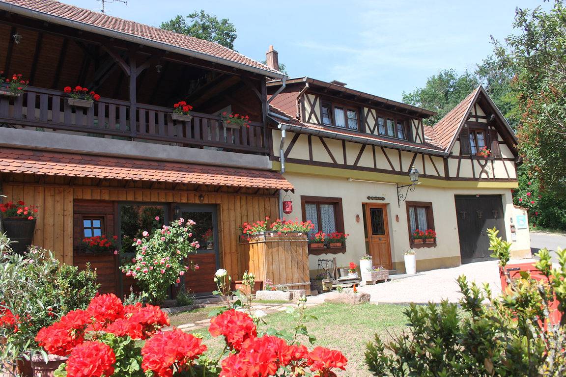 Gîte La Maison de Vacances en Alsace in Nothalten, Région de Sélestat-Erstein