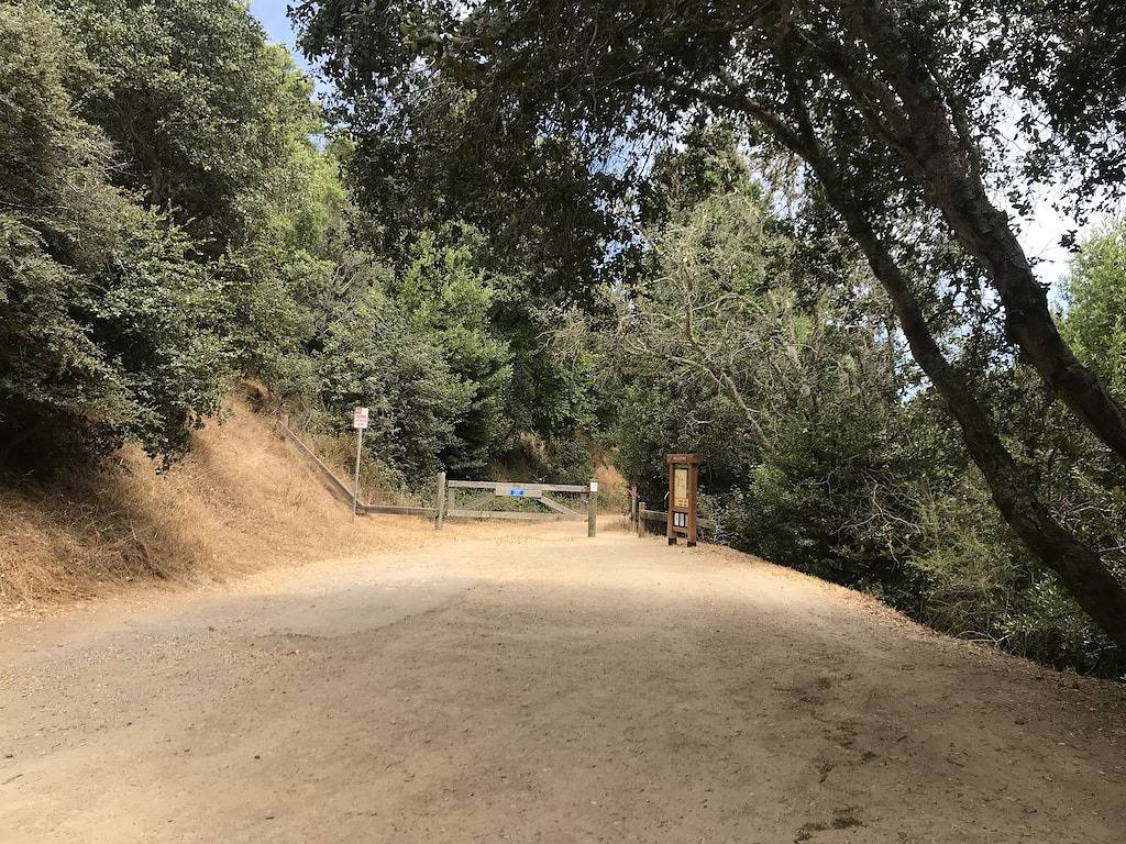 Ganze Wohnung, Gemütliches Studio in den Hügeln von Mill Valley. in Mill Valley, California North Coast