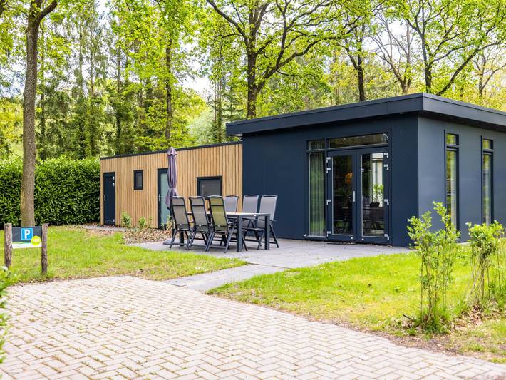 Chalet voor 4 personen, met tuin en terras, met huisdier in Drenthe