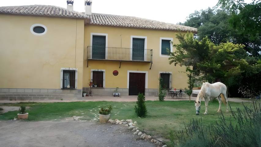 Casa rural para 7 personas, con jardín en Comarca del Noroeste (Murcia)