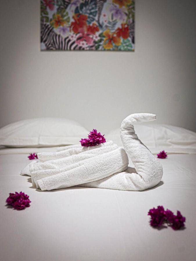 Location de vacances pour 8 personnes, avec piscine et jardin à Saint-Philippe - 2