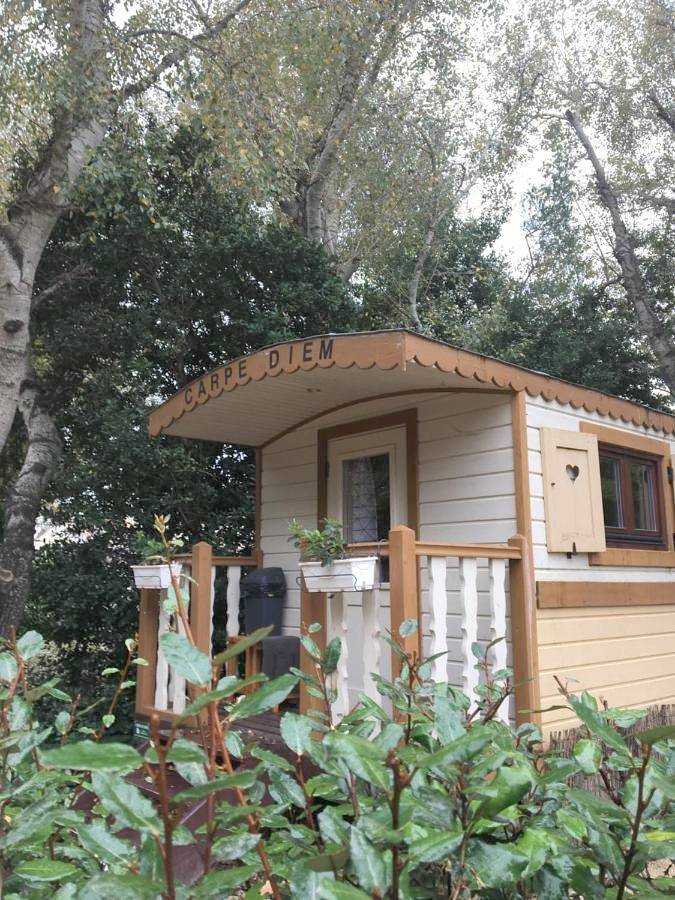Gîte pour 4 personnes, avec piscine ainsi que terrasse et jardin à Barbentane - 3