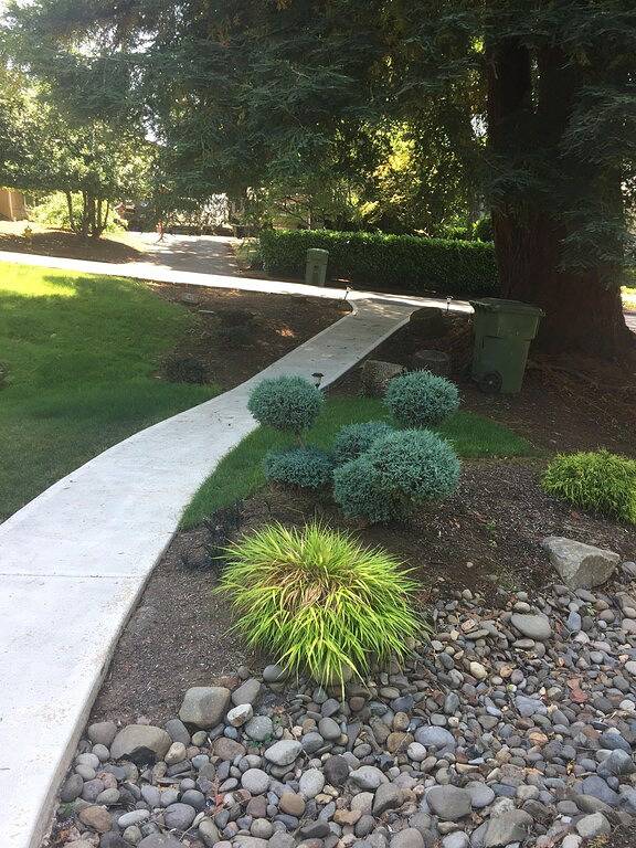 Ganze Wohnung, Tageslicht Keller Studio in Salem (OR), Willamette Valley