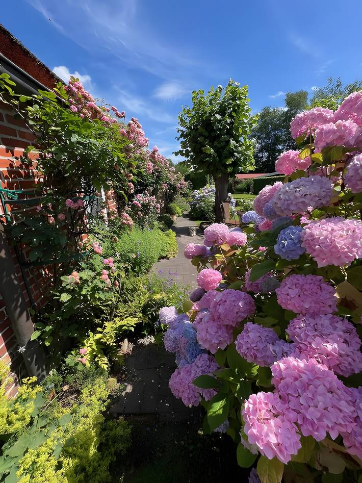 Ferienhaus für 4 Personen, mit Garten in Ostfriesland - 4